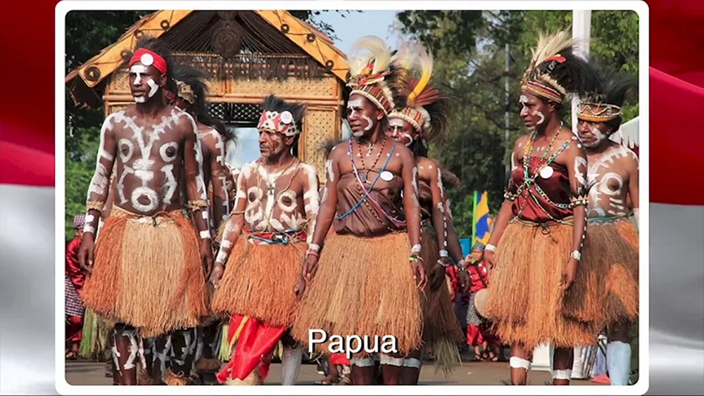 27-. 029 Aborigine-Papua-Tasche