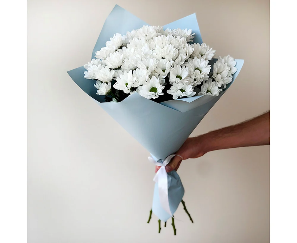 Sträußchen aus 15 weißen Chrysanthemen. Chrysanthemen