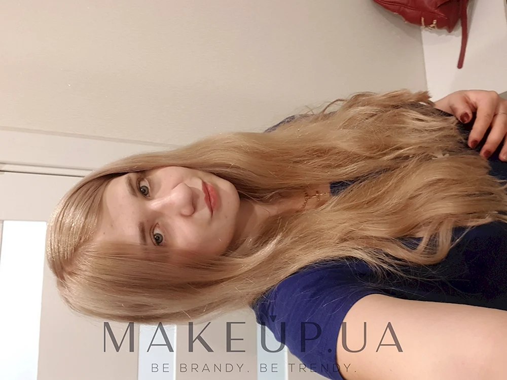 8.23 Majirelle