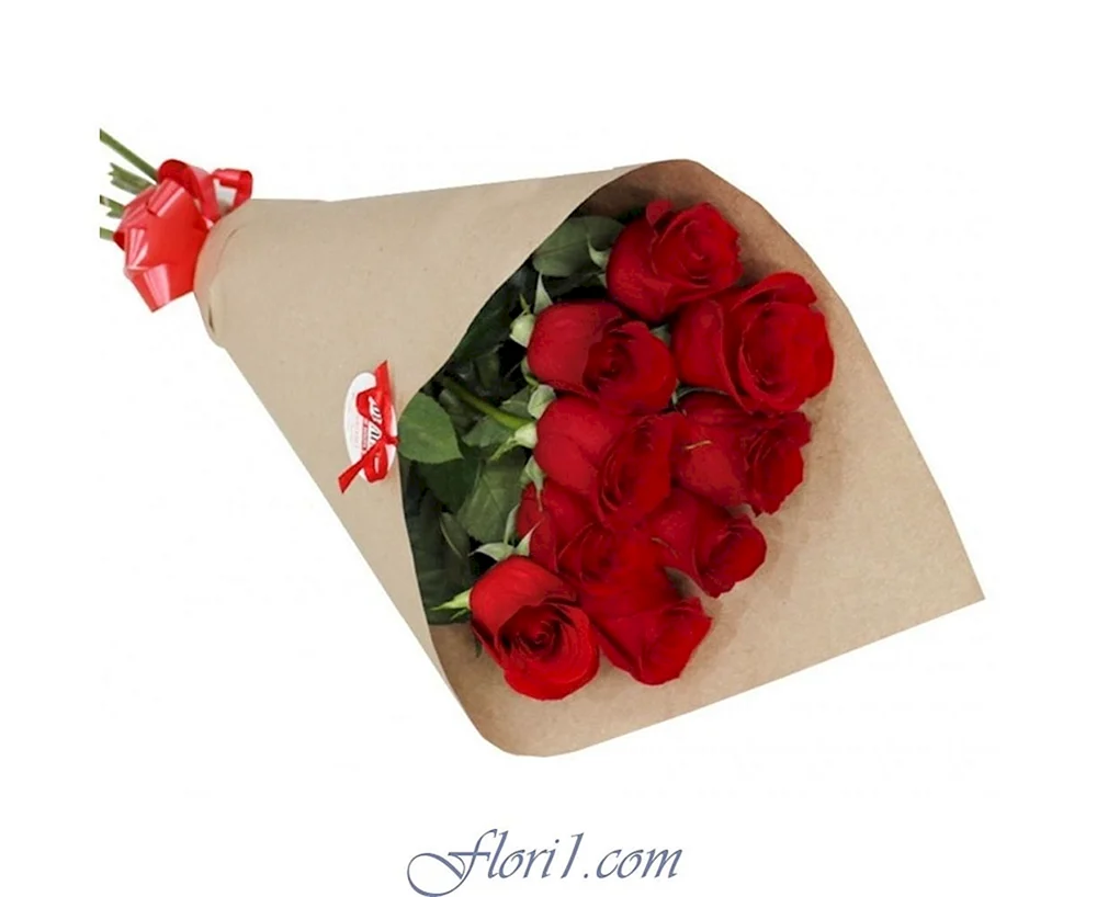 9 rote ecuadorianische Rosen