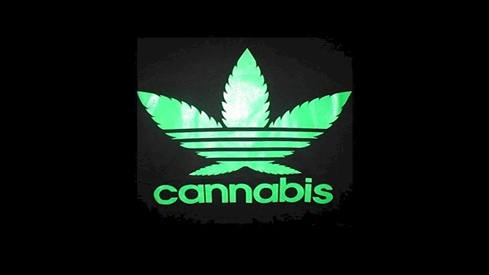 Adidas auf ava.