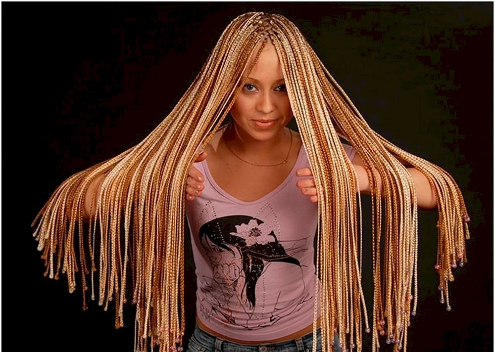 De Dreadlocks Afrozöpfe
