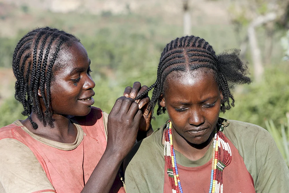 Afrikanische Zöpfe Senegalesisch
