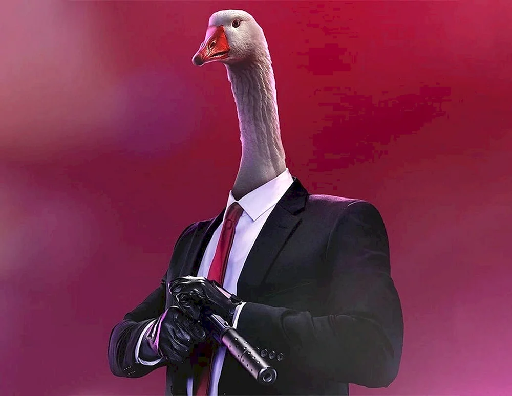 Cool Gans