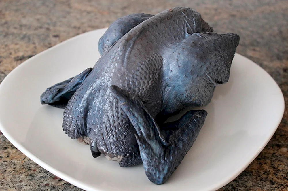 Ayam Cemani