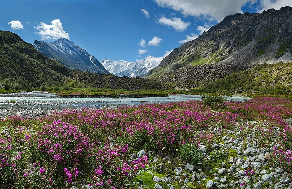 Berg Altai
