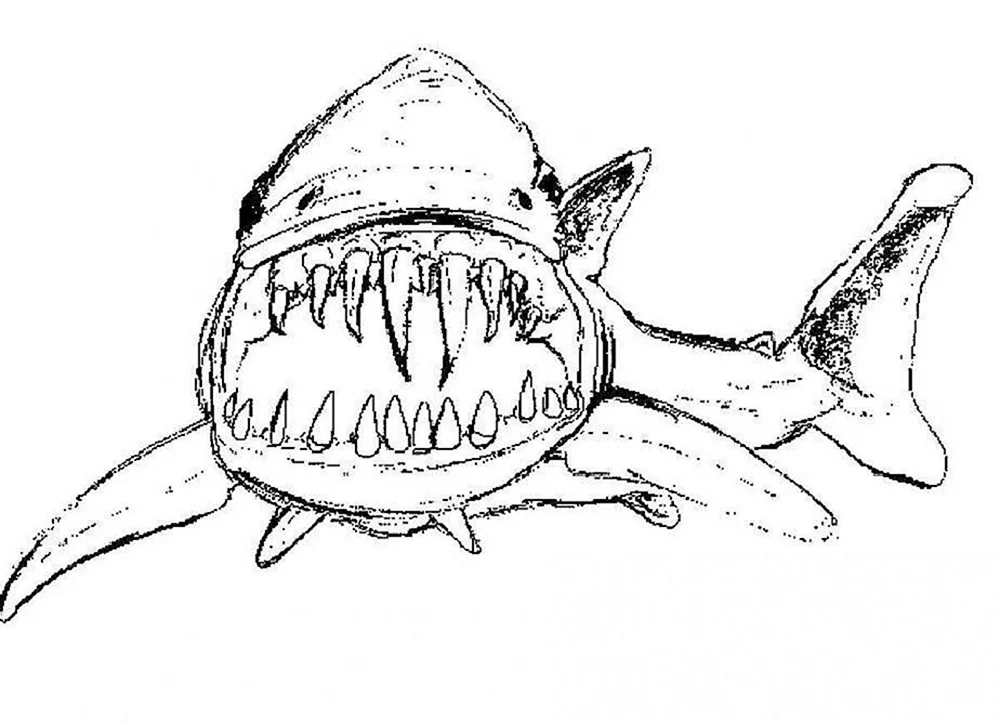 Hai-Malbuch