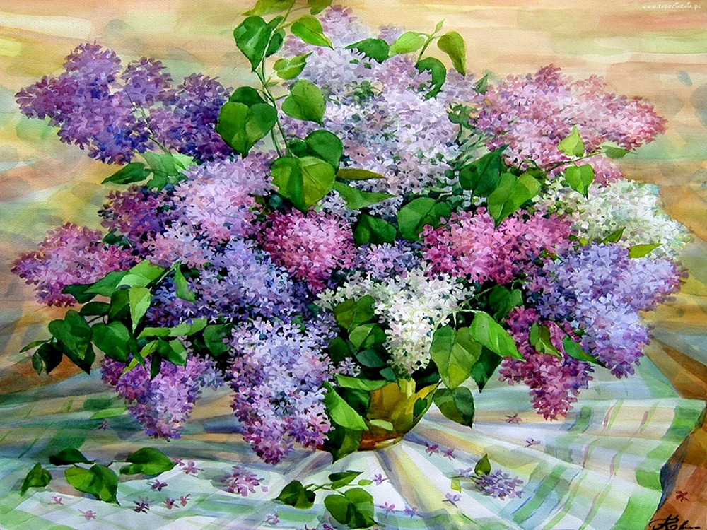 Aquarelle lilac Andriyaka