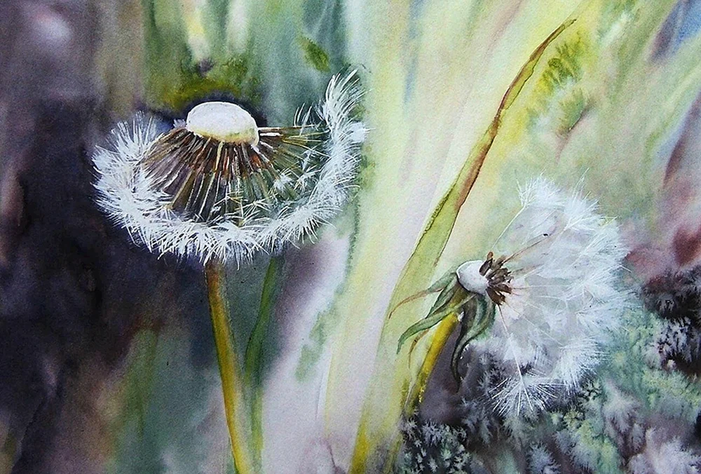 Aquarelle Roselyne Farail