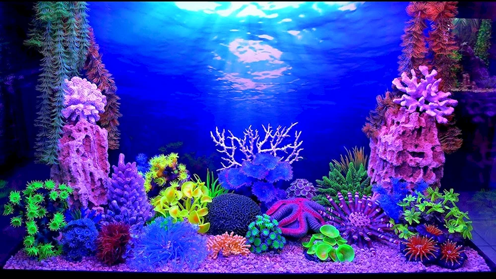 Aquarium Pseudo-Meer