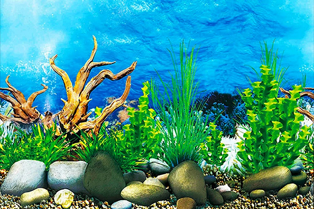 Holländisches Aquascape