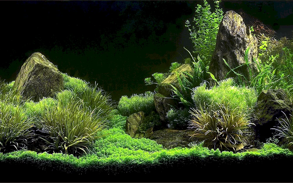 Ozean unter Wasser