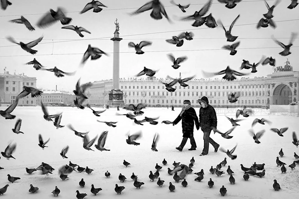 Alexandr Petrosyan Fotograf Peter Taube