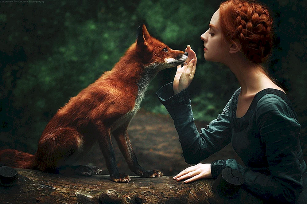 Digitaler Fuchs