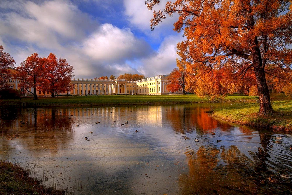 Nikolsky Kathedrale St. Petersburg Goldener Herbst in St. Petersburg St. Petersburger Goldener Herbst