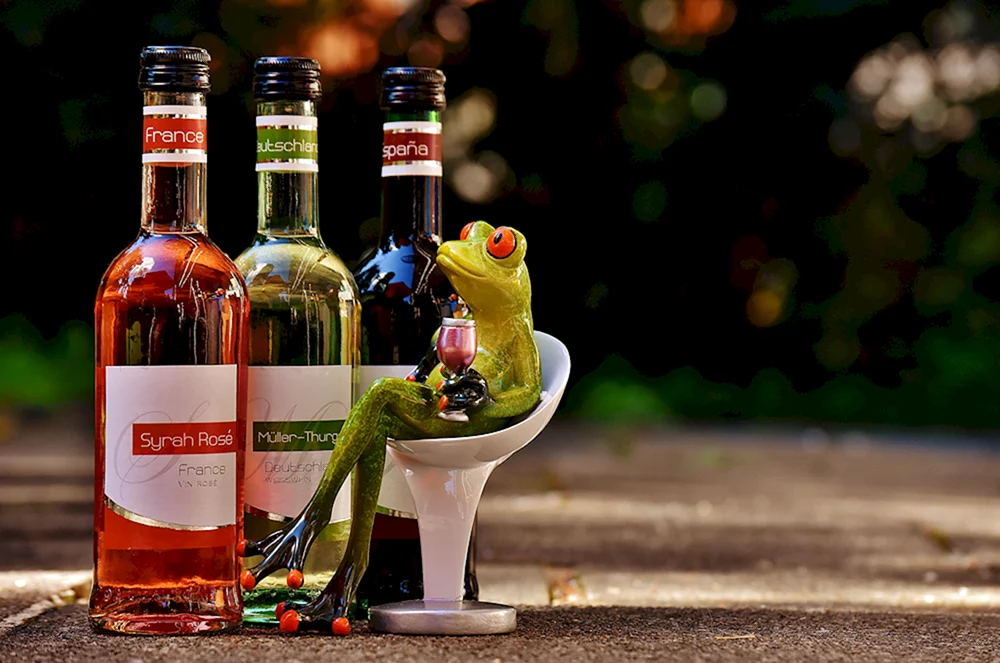 Alkoholische Getränke Getränke
