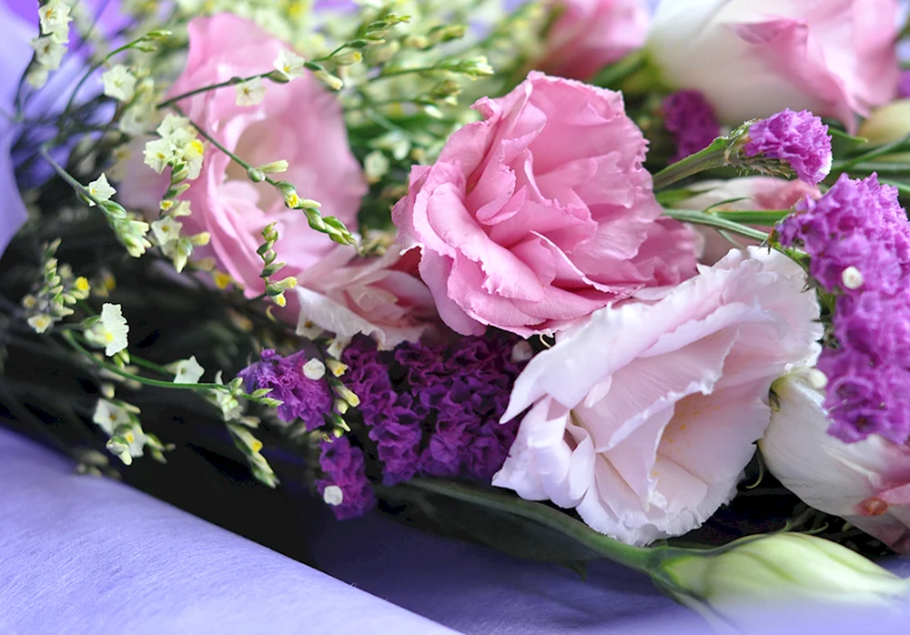 Alpenrose eustoma
