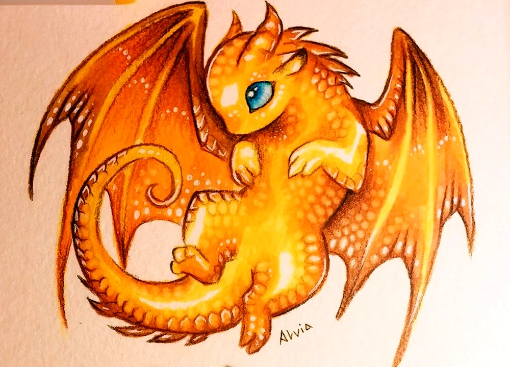 Alvia Alcedo Zeichnungen von Drachen
