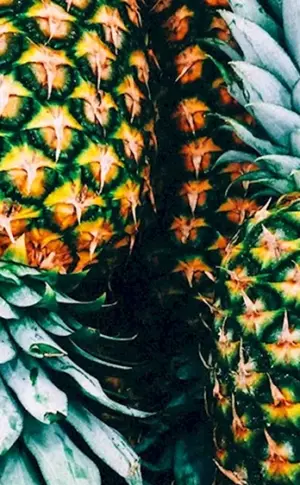 Ananas