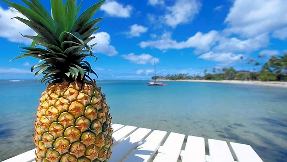 Amritha Ananas Sorte
