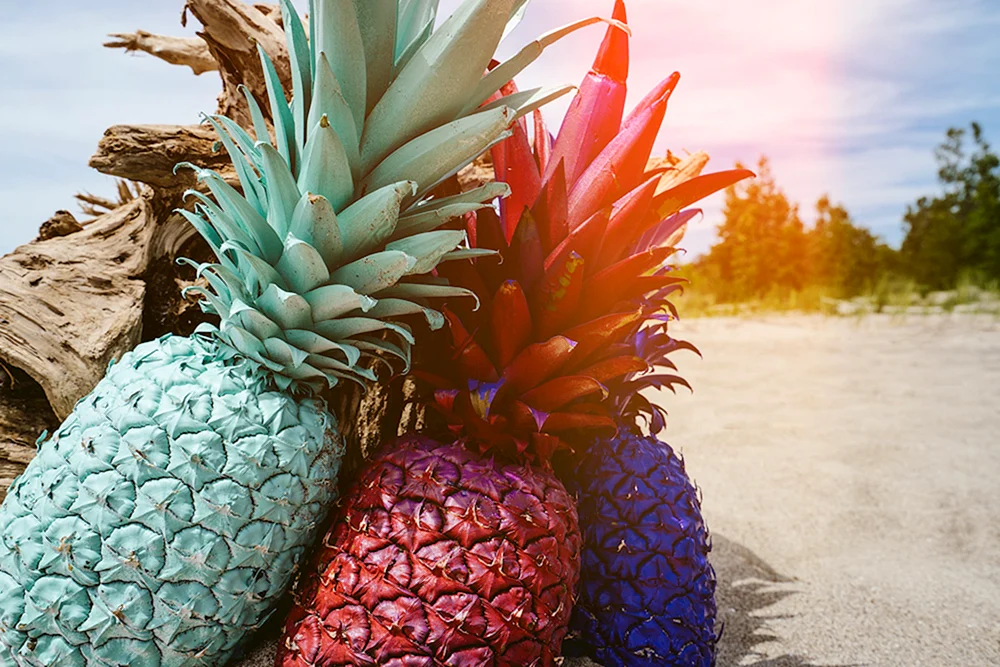 Blutbad kavkaz Ananas