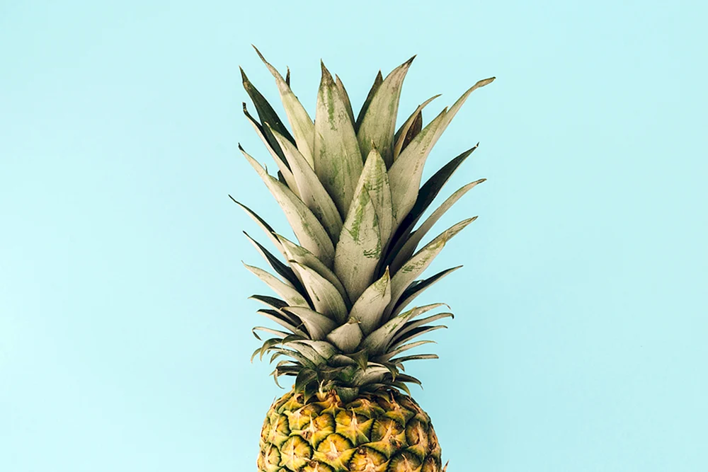 Ananas