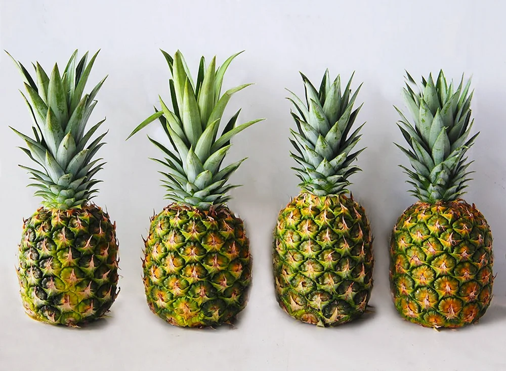 Ananas