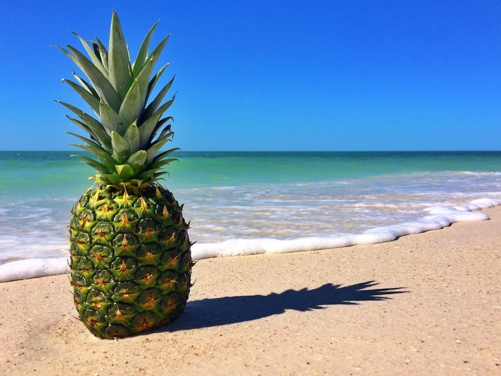 Ananas