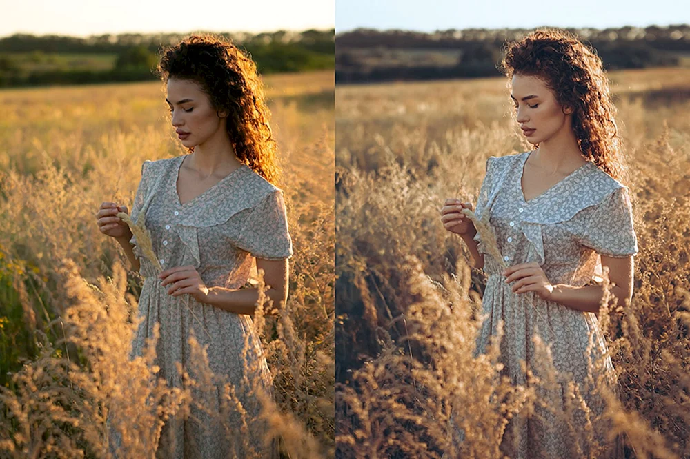 Anastasia Gorbunova