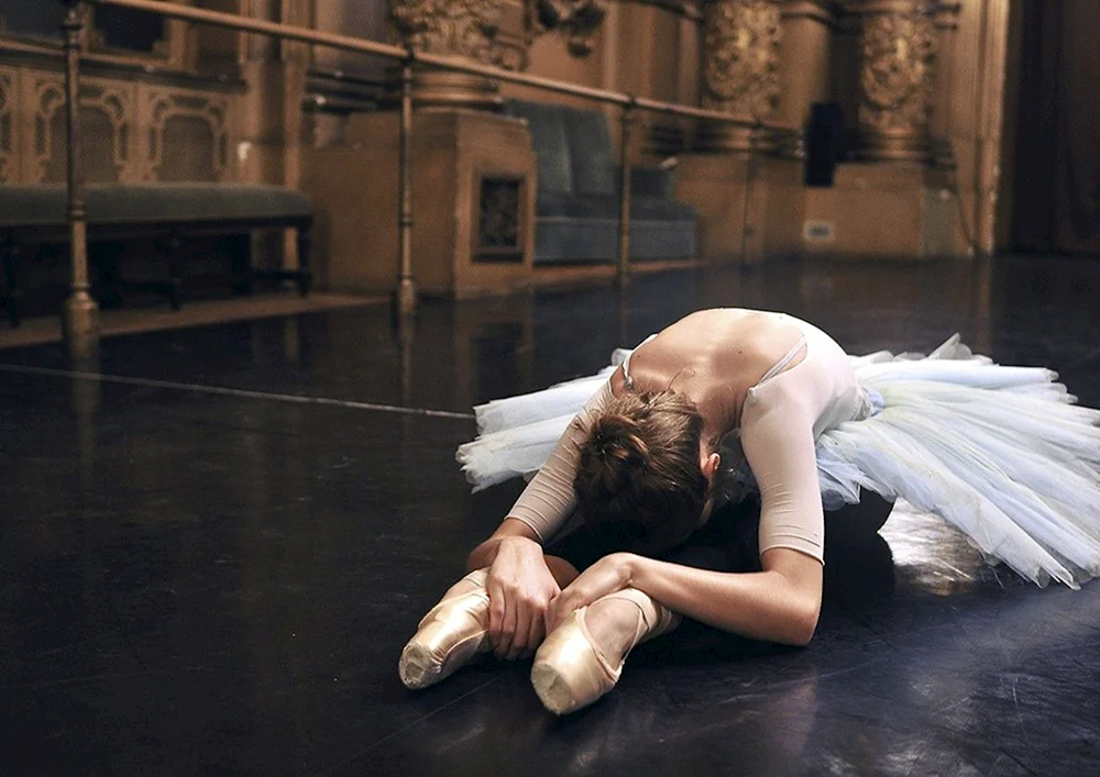 Anna Stasia Swan Ballerina