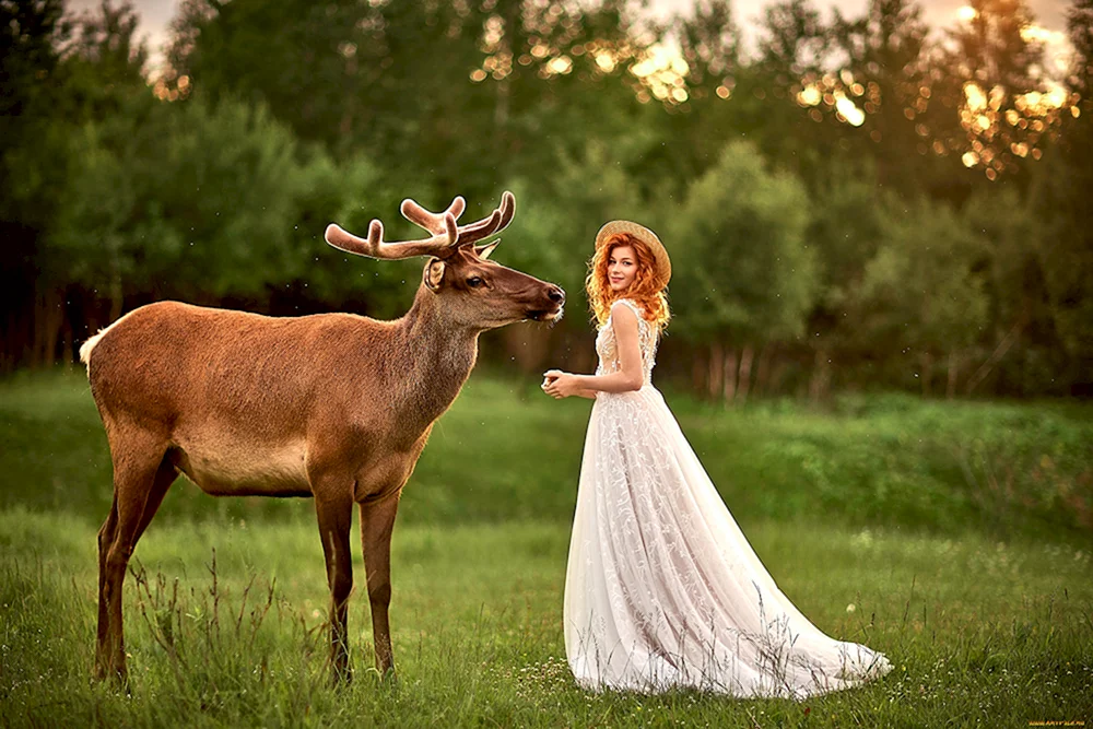 Anastasia Zhilina Foto Model