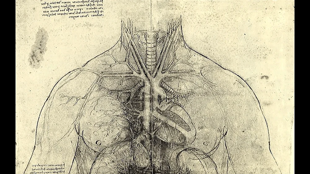 Anatomischer Atlas von Leonardo da Vinci