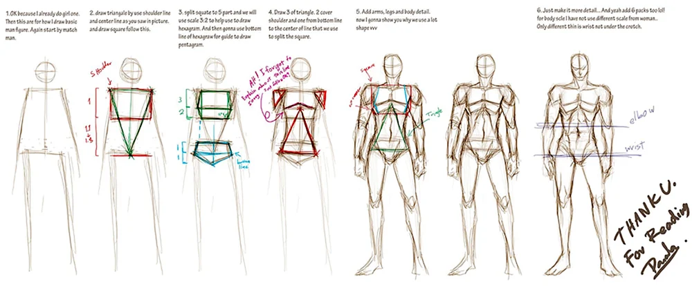 Menschliche Anatomie zum Zeichnen für Anfänger in voller Länge