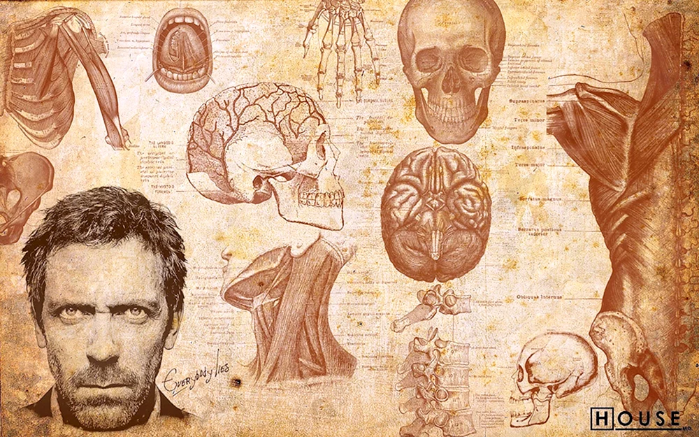 Medizin Hintergrund