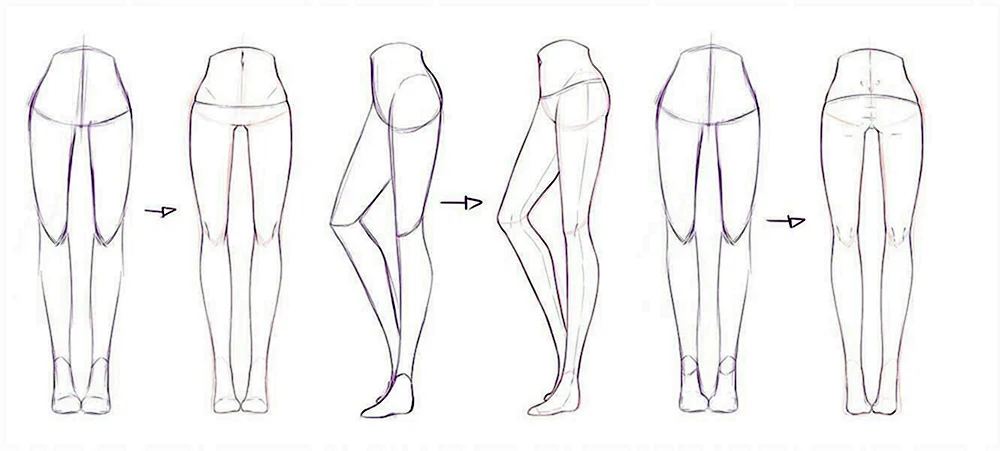 Anatomie der Beine zum Zeichnen Zeichnung