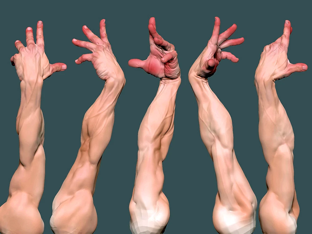 Handreferenz