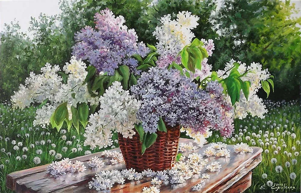 Anca Bulgaru lilac