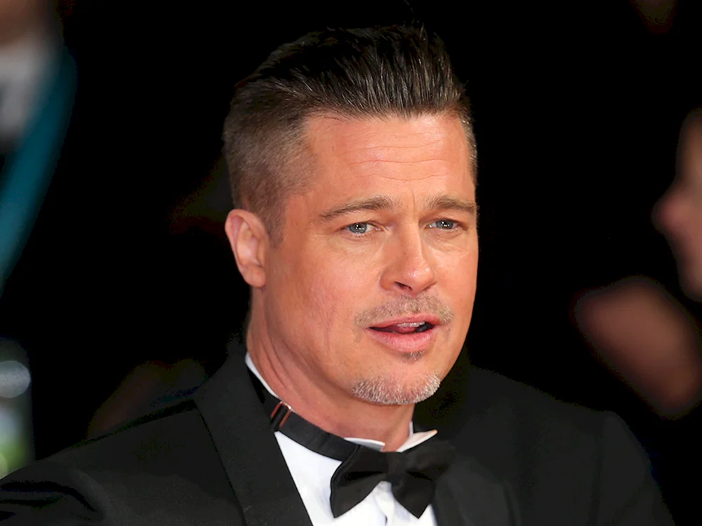 Andercat Brad Pitt Wut