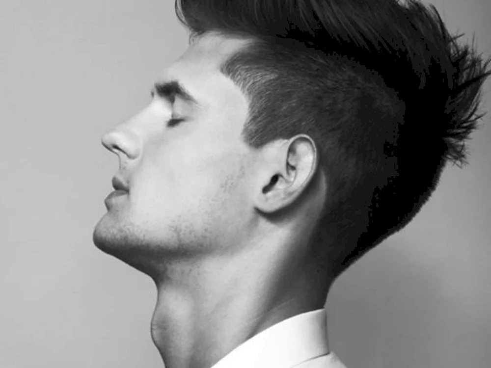 Andercat Pompadour