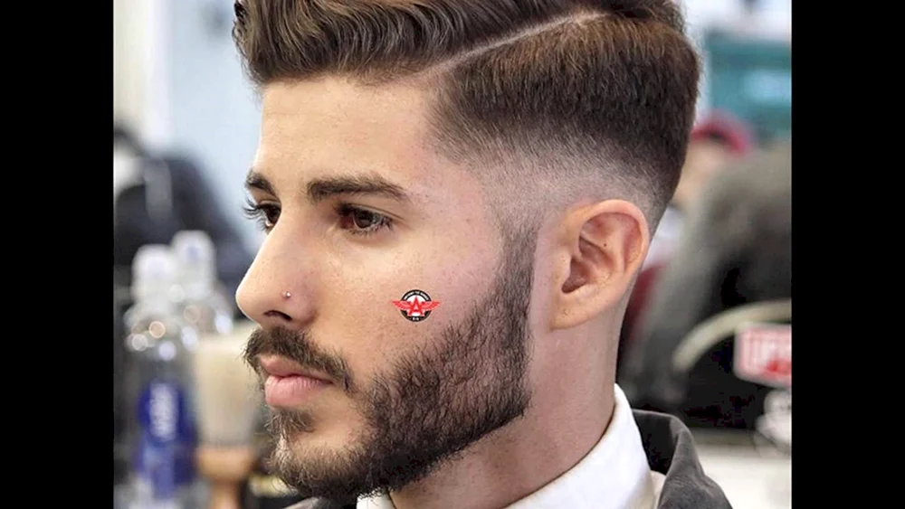Andercat Pompadour