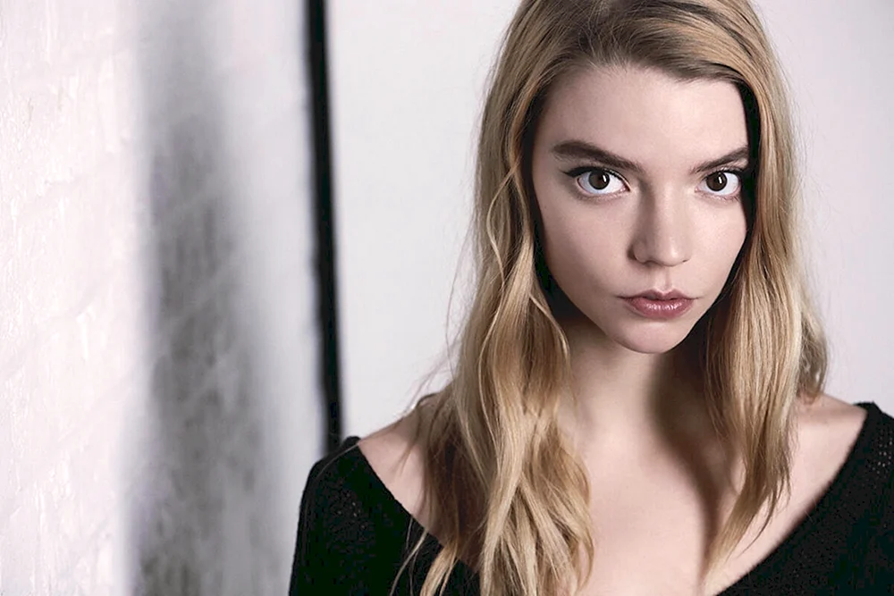 Taylor Freude