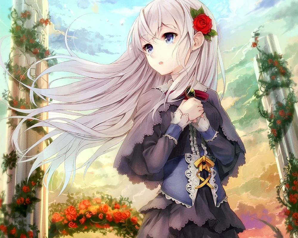 Anime.