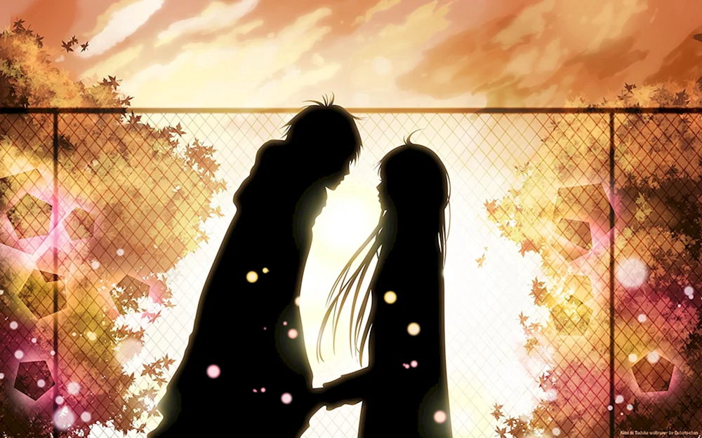 Kimi ni Todoke für zwei