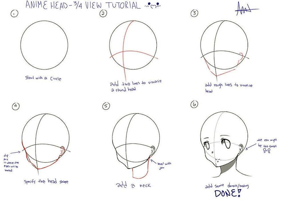 Gesichtsproportionen der Anime-Referenz anime
