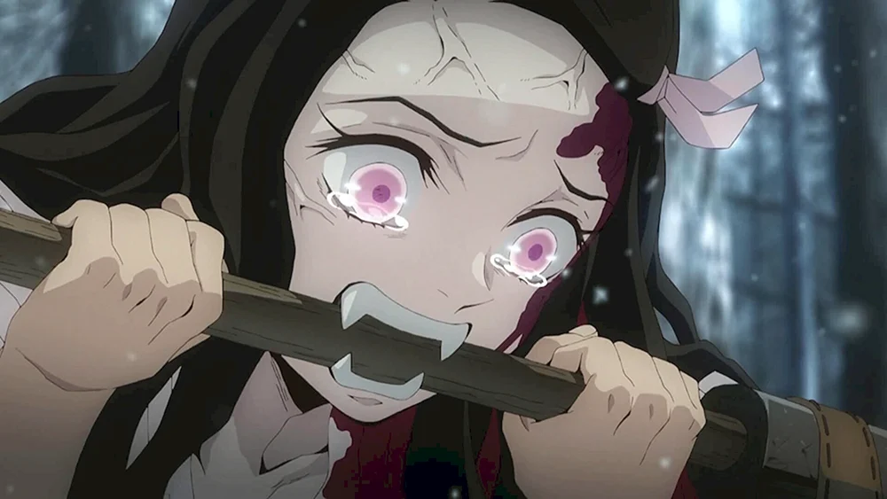 Dämonentöter Kimetsu no Yaiba