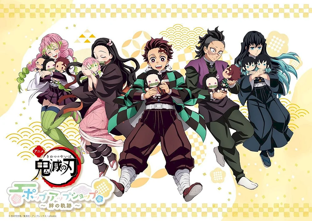 Dämonentöter Kimetsu no Yaiba Demon Slayer Kimetsu
