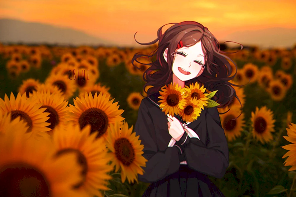 Anime Ästhetik