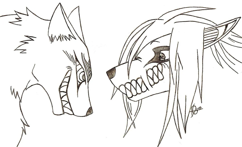 Wolf Zeichnung