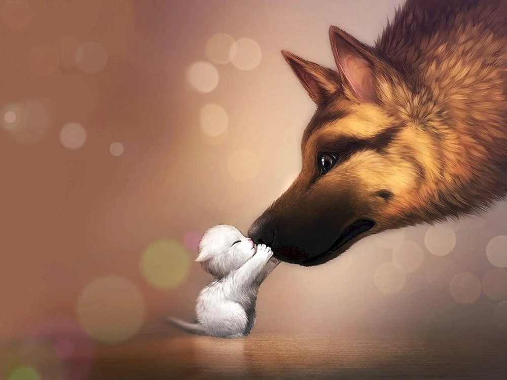 Anime Hund