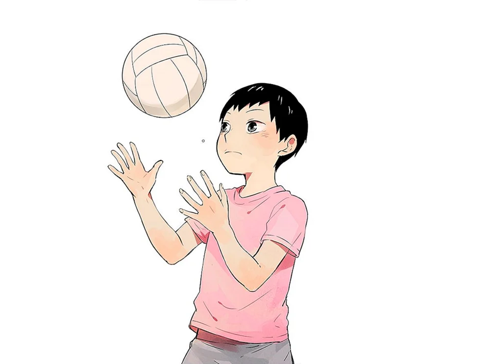 Anime Volleyball Kageyama